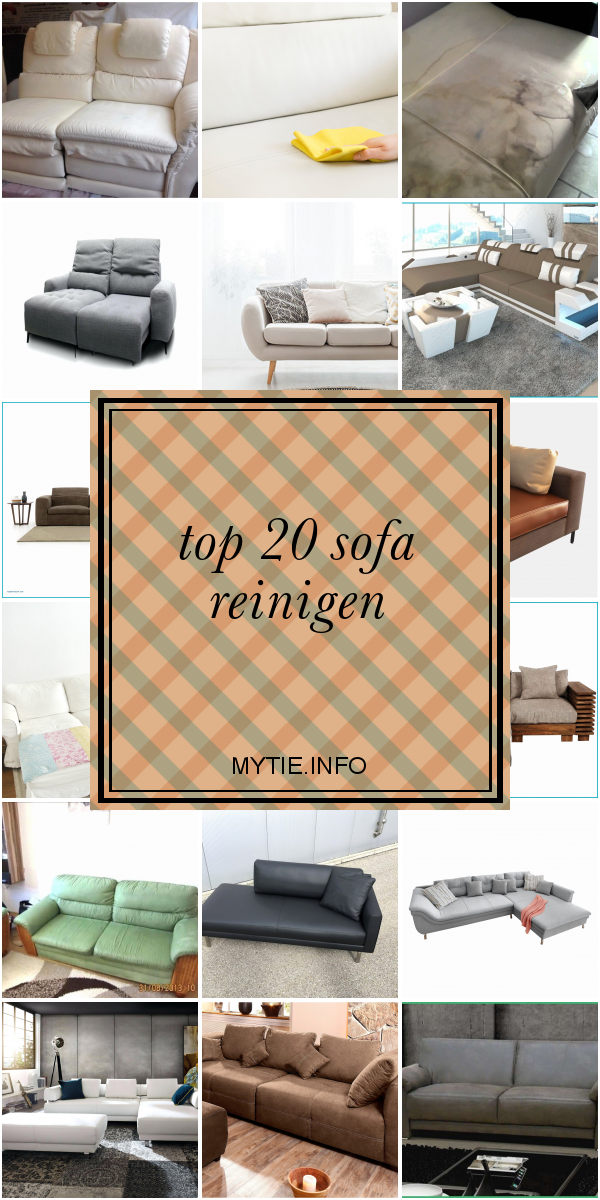 Top 20 sofa Reinigen